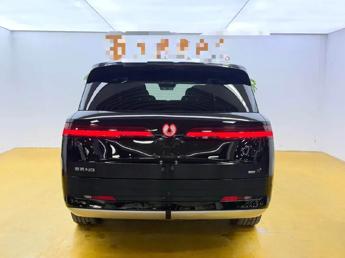 2025 Denza DenzaN9 2.0T 207HP L4 E-CVT PHEV,autocango,china used car exporter,china ev exporter,chinese used car exporter,chinese used ev exporter