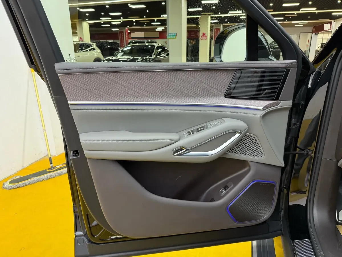 2025 Denza DenzaN9 2.0T 207HP L4 E-CVT PHEV,autocango,china used car exporter,china ev exporter,chinese used car exporter,chinese used ev exporter