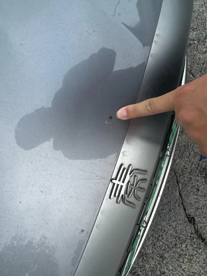 2021 Haval F7 1.5T 169HP L4 7DCT,autocango,china used car exporter,china ev exporter,chinese used car exporter,chinese used ev exporter