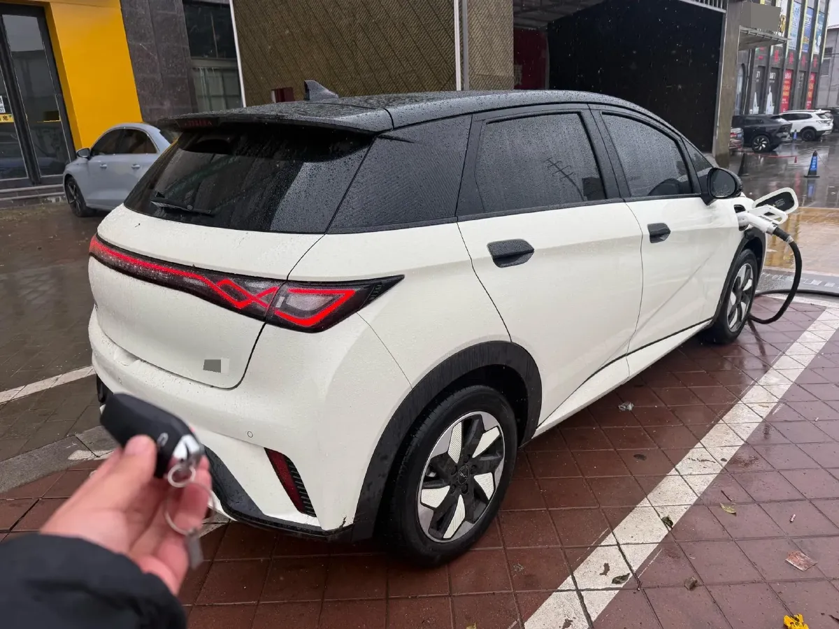 2024 BYD Dolphin BEV 44.928KWH,autocango,china used car exporter,china ev exporter,chinese used car exporter,chinese used ev exporter