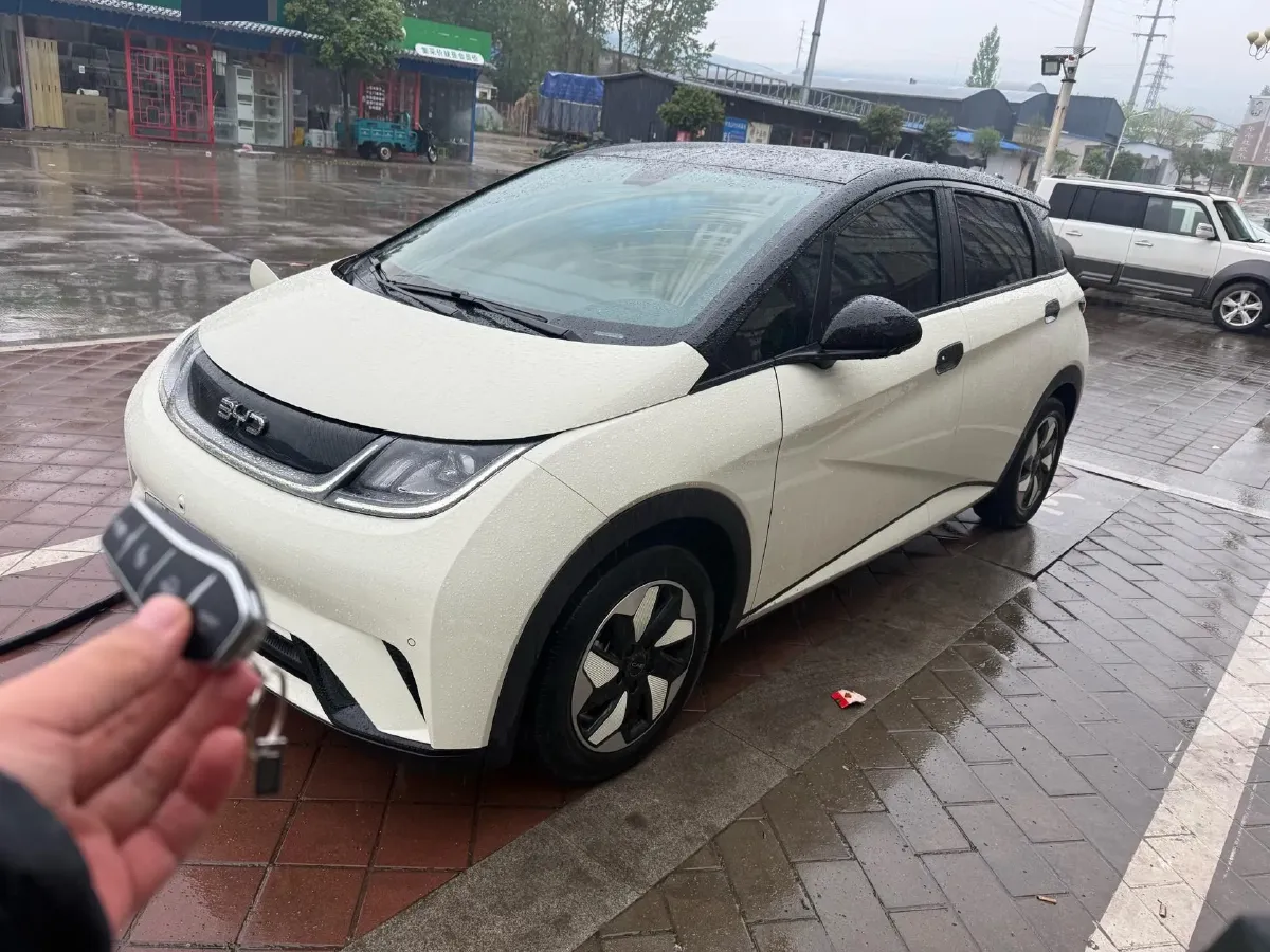 2024 BYD Dolphin BEV 44.928KWH,autocango,china used car exporter,china ev exporter,chinese used car exporter,chinese used ev exporter