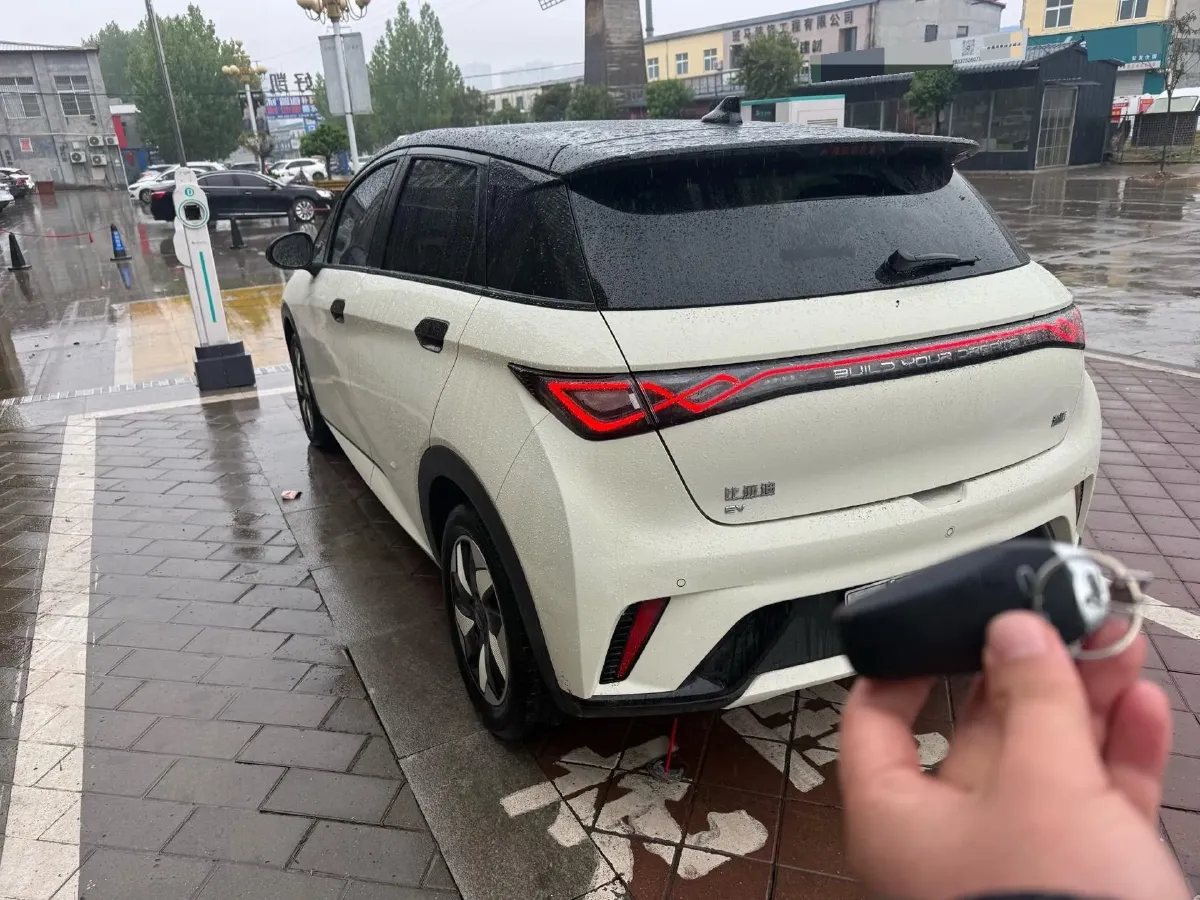 2024 BYD Dolphin BEV 44.928KWH,autocango,china used car exporter,china ev exporter,chinese used car exporter,chinese used ev exporter