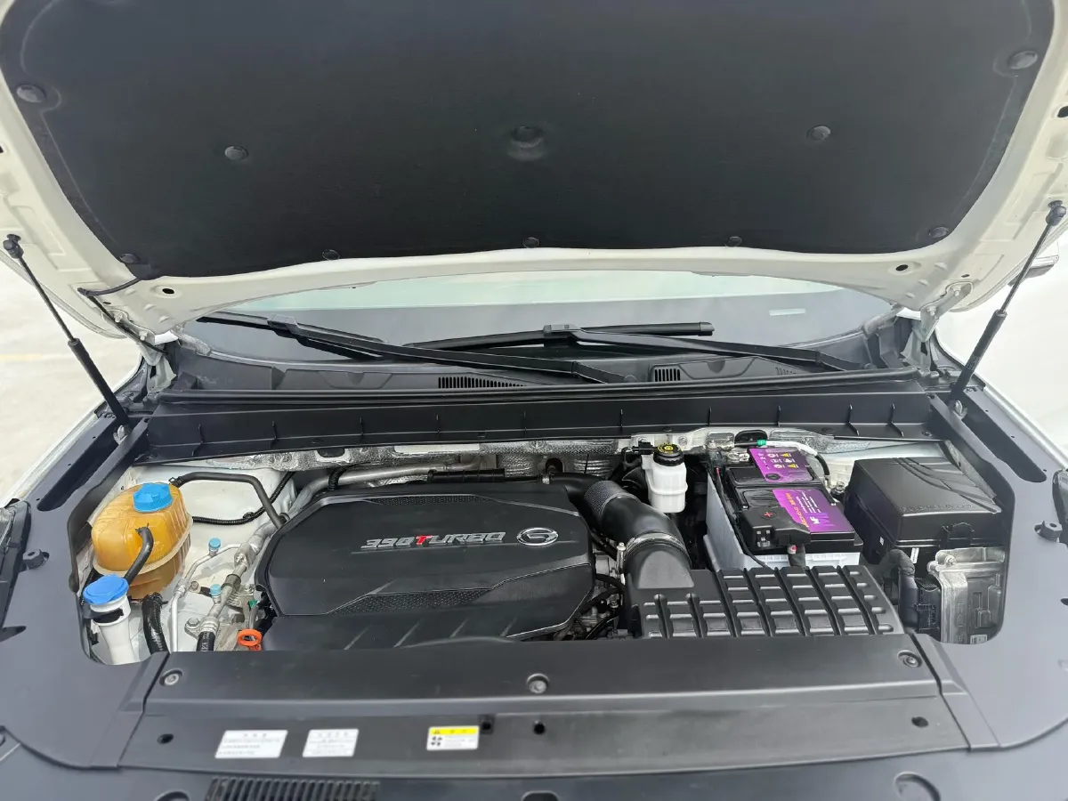 2020 GAC Trumpchi GS8 2.0T 252HP L4 6AT,autocango,china used car exporter,china ev exporter,chinese used car exporter,chinese used ev exporter