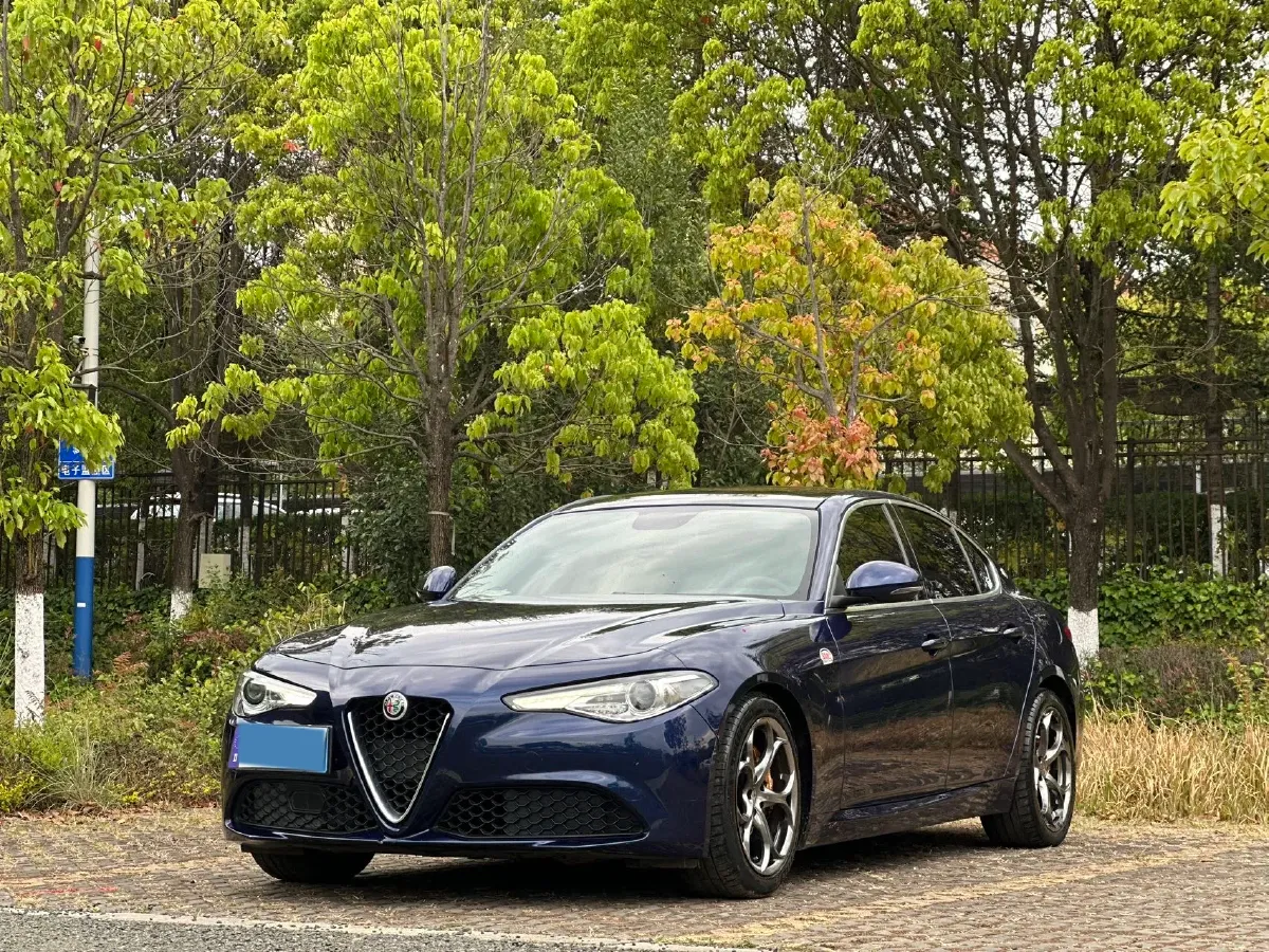 2017 Ford Mustang 2.3T 314HP L4 6AT,autocango,china used car exporter,china ev exporter,chinese used car exporter,chinese used ev exporter