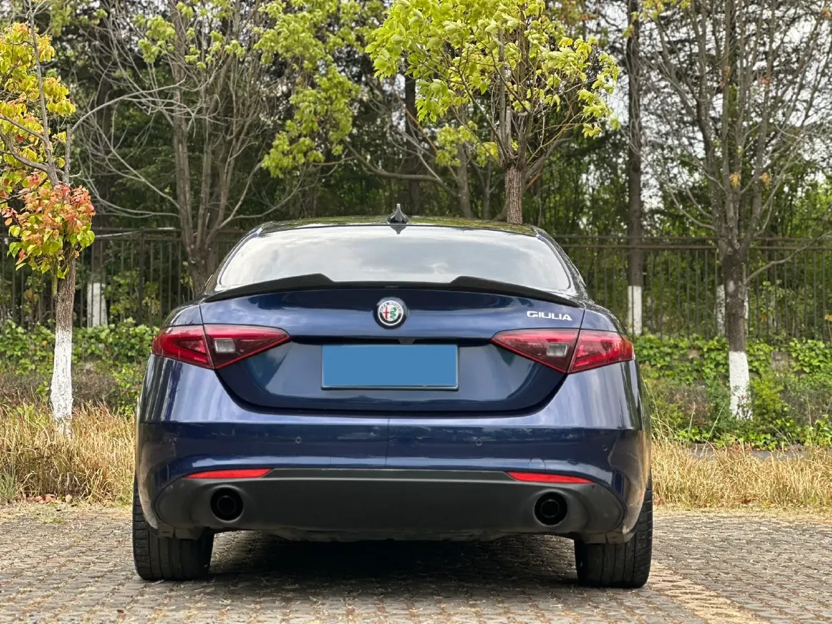 2017 Ford Mustang 2.3T 314HP L4 6AT,autocango,china used car exporter,china ev exporter,chinese used car exporter,chinese used ev exporter