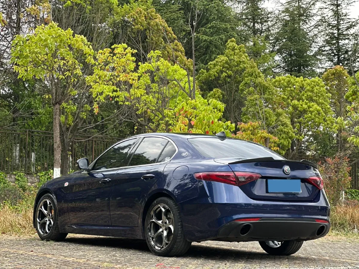 2017 Ford Mustang 2.3T 314HP L4 6AT,autocango,china used car exporter,china ev exporter,chinese used car exporter,chinese used ev exporter