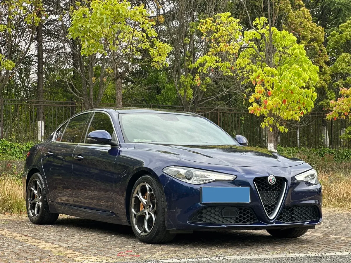 2017 Ford Mustang 2.3T 314HP L4 6AT,autocango,china used car exporter,china ev exporter,chinese used car exporter,chinese used ev exporter