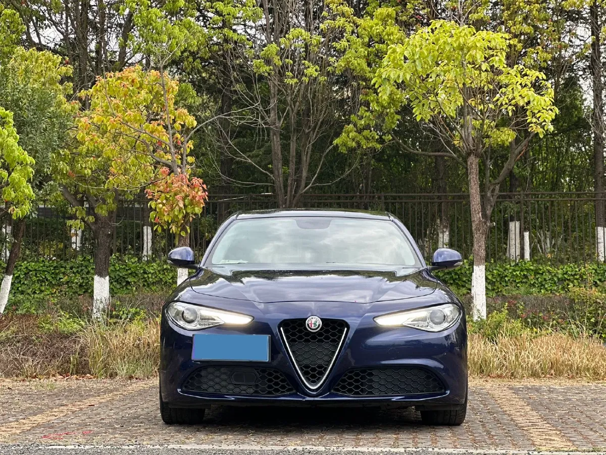 2017 Ford Mustang 2.3T 314HP L4 6AT,autocango,china used car exporter,china ev exporter,chinese used car exporter,chinese used ev exporter