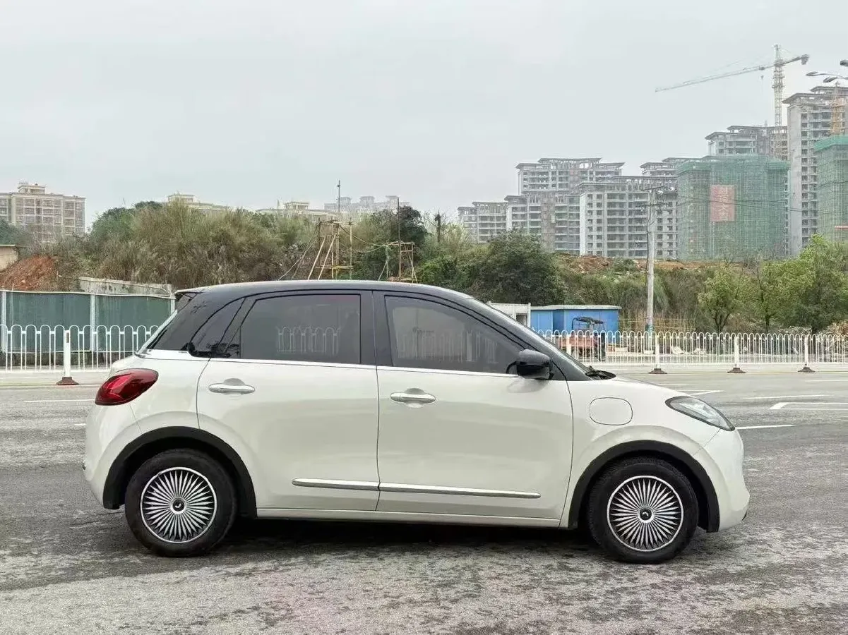 2023 WuLing BinGuo BEV 31.9KWH,autocango,china used car exporter,china ev exporter,chinese used car exporter,chinese used ev exporter