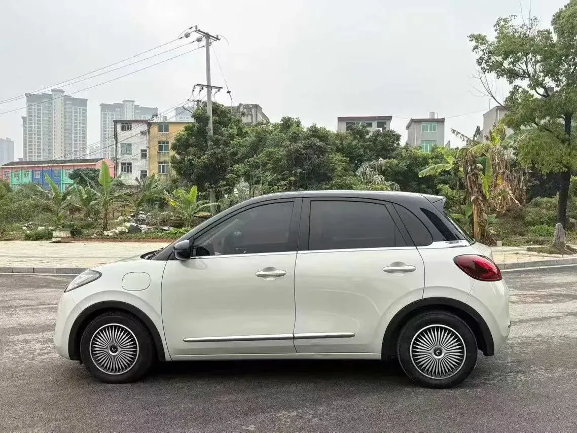 2023 WuLing BinGuo BEV 31.9KWH,autocango,china used car exporter,china ev exporter,chinese used car exporter,chinese used ev exporter