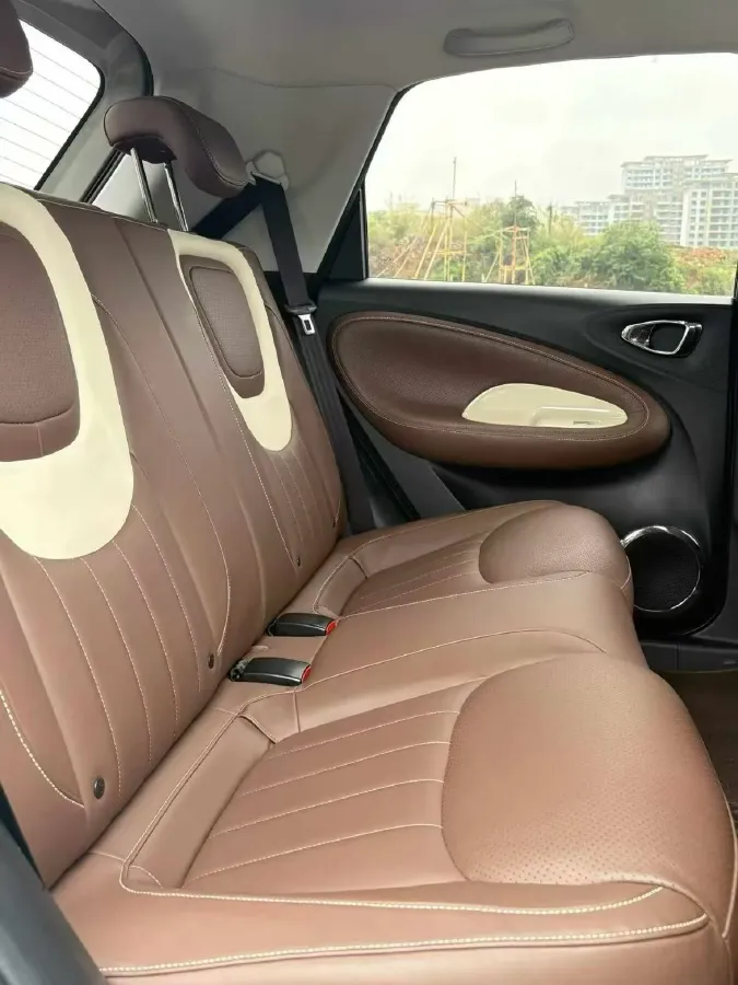 2023 WuLing BinGuo BEV 31.9KWH,autocango,china used car exporter,china ev exporter,chinese used car exporter,chinese used ev exporter