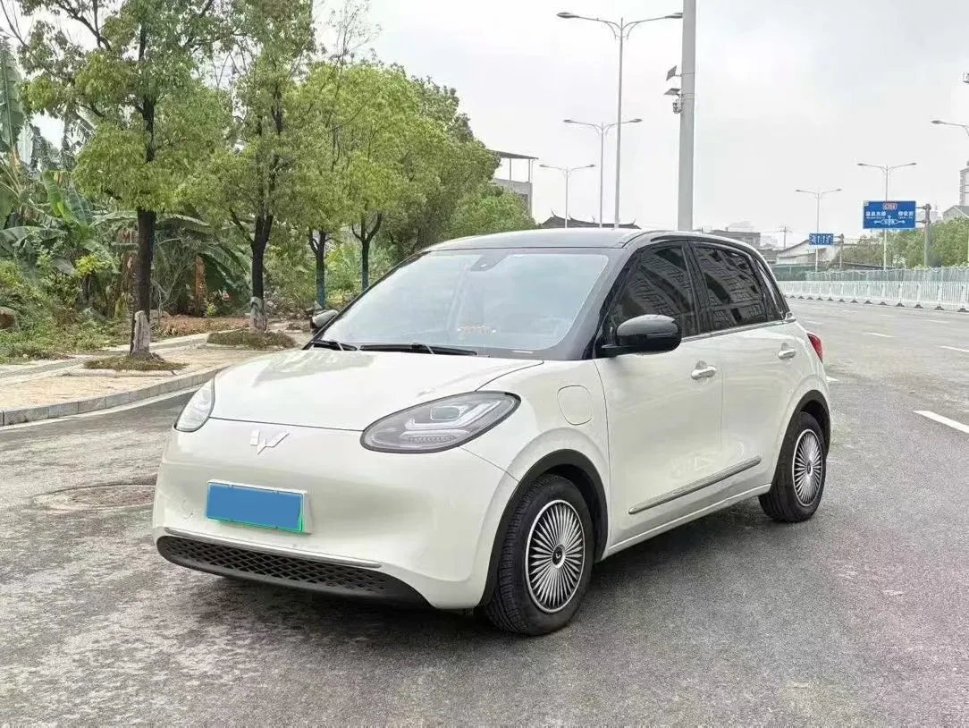 2023 WuLing BinGuo BEV 31.9KWH,autocango,china used car exporter,china ev exporter,chinese used car exporter,chinese used ev exporter
