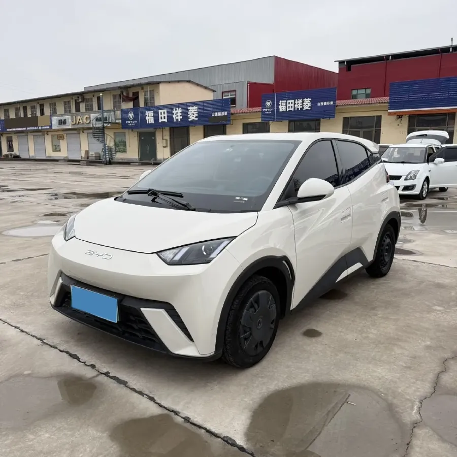2023 BYD Seagull BEV 30.08KWH,autocango,china used car exporter,china ev exporter,chinese used car exporter,chinese used ev exporter