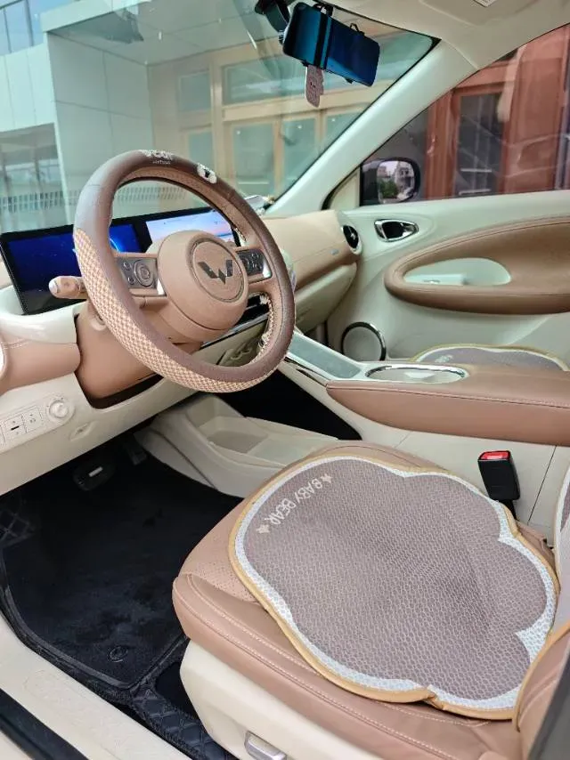 2025 WuLing BinGuo BEV,autocango,china used car exporter,china ev exporter,chinese used car exporter,chinese used ev exporter