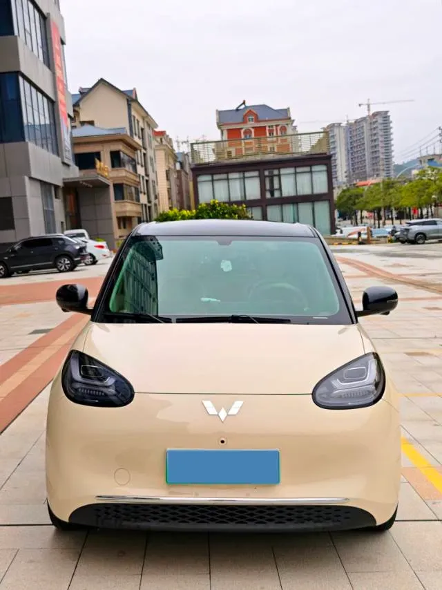 2025 WuLing BinGuo BEV,autocango,china used car exporter,china ev exporter,chinese used car exporter,chinese used ev exporter