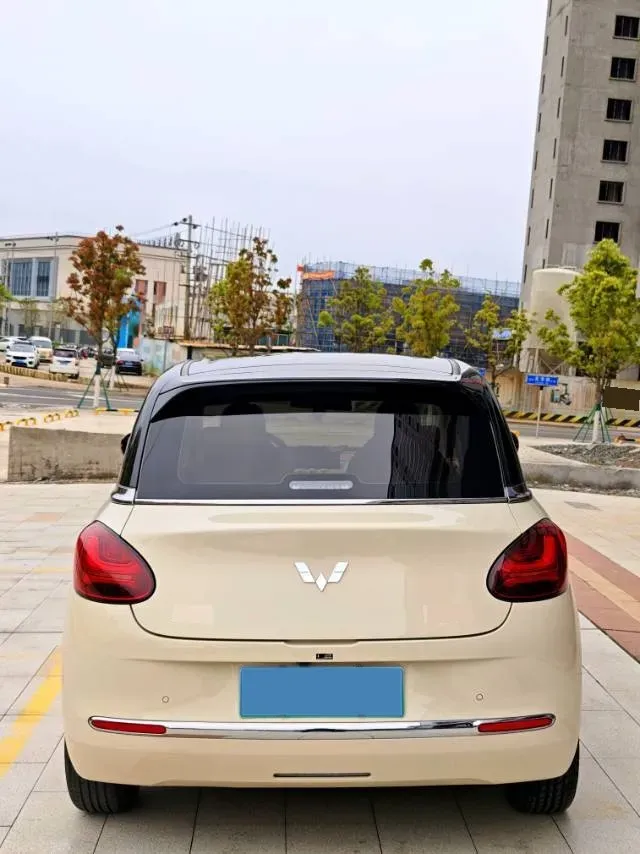 2025 WuLing BinGuo BEV,autocango,china used car exporter,china ev exporter,chinese used car exporter,chinese used ev exporter