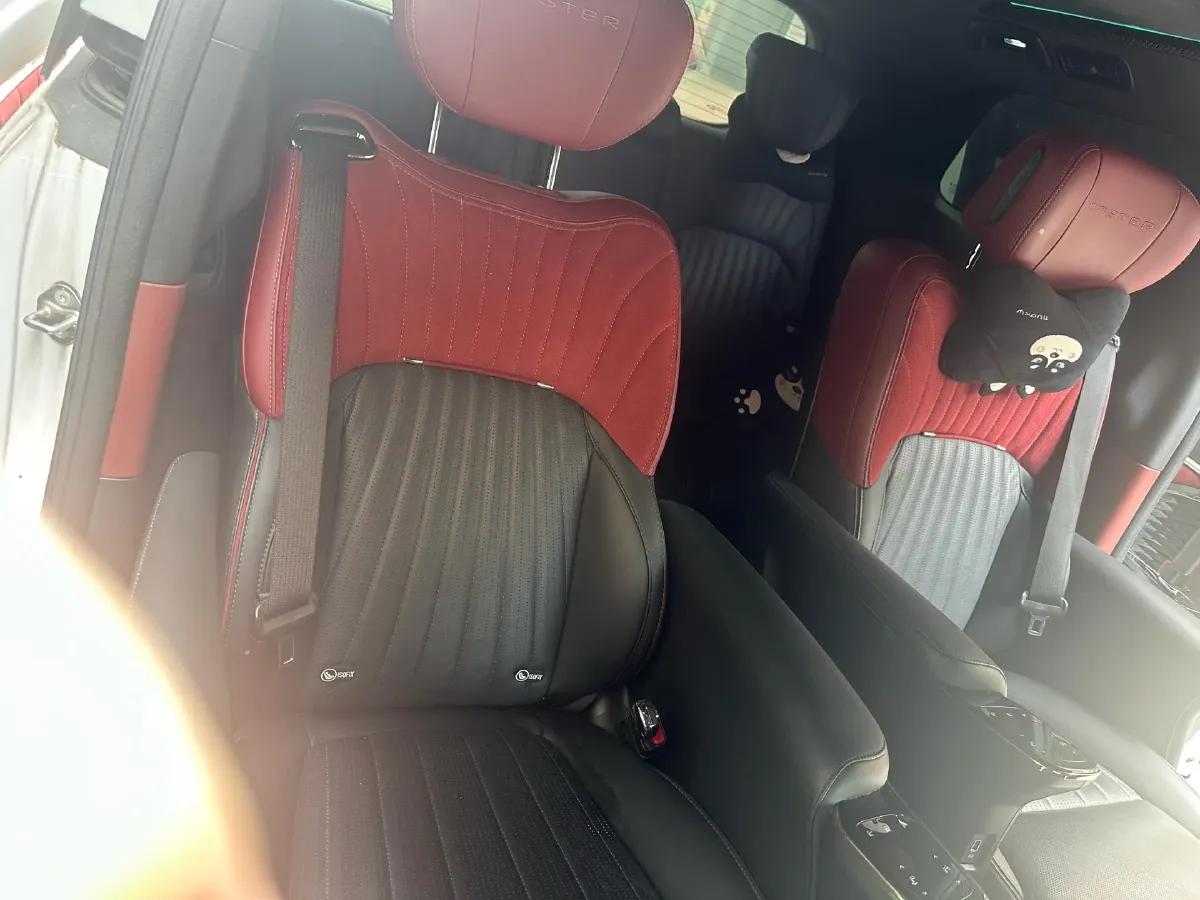 2023 GAC Trumpchi M8 2.0T 252HP L4 8AT,autocango,china used car exporter,china ev exporter,chinese used car exporter,chinese used ev exporter