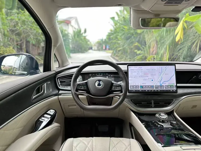 2024 Denza D9 1.5T 139HP L4 E-CVT PHEV 40KWH,autocango,china used car exporter,china ev exporter,chinese used car exporter,chinese used ev exporter