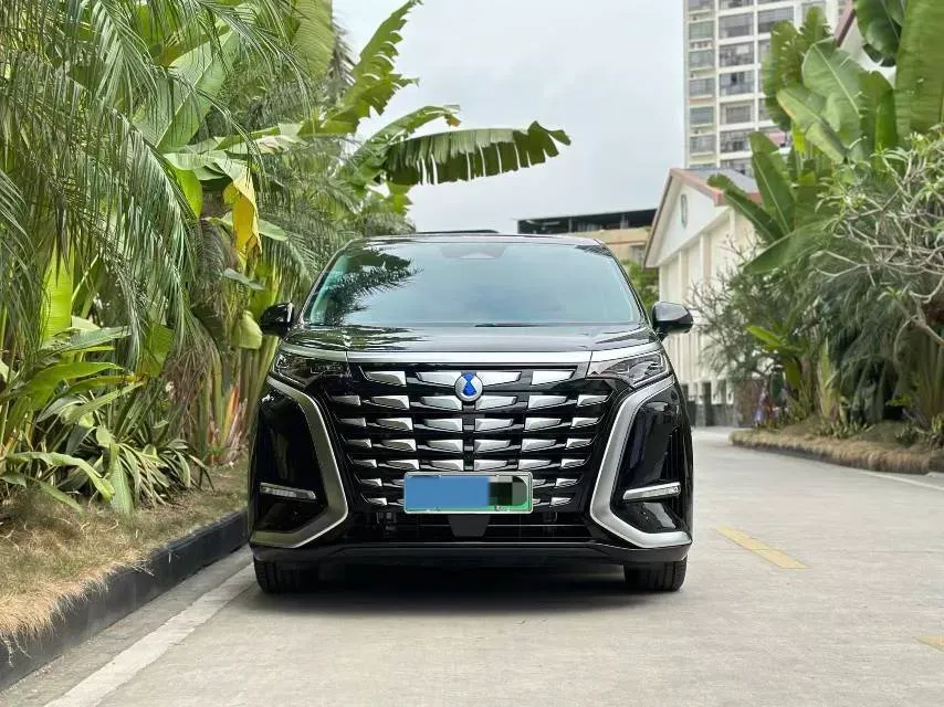 2024 Denza D9 1.5T 139HP L4 E-CVT PHEV 40KWH,autocango,china used car exporter,china ev exporter,chinese used car exporter,chinese used ev exporter