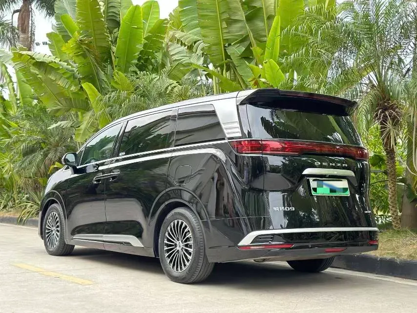 2024 Denza D9 1.5T 139HP L4 E-CVT PHEV 40KWH,autocango,china used car exporter,china ev exporter,chinese used car exporter,chinese used ev exporter