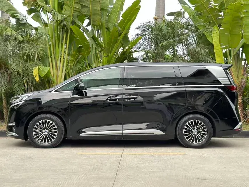 2024 Denza D9 1.5T 139HP L4 E-CVT PHEV 40KWH,autocango,china used car exporter,china ev exporter,chinese used car exporter,chinese used ev exporter