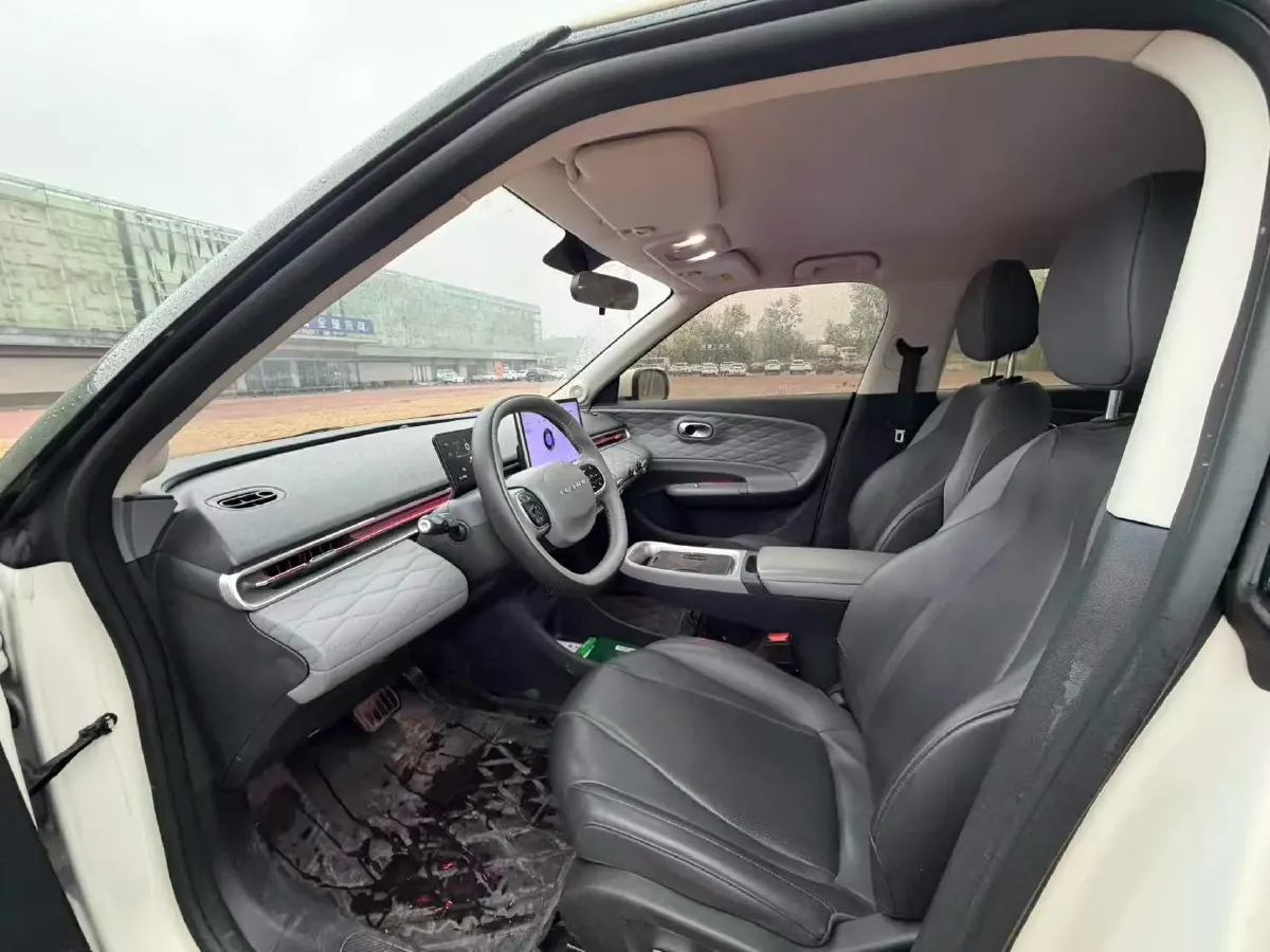 2024 DongFeng eπ 01 BEV 31.45KWH,autocango,china used car exporter,china ev exporter,chinese used car exporter,chinese used ev exporter