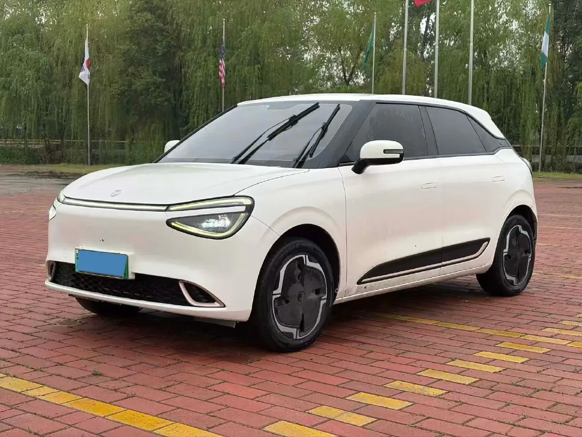 2024 DongFeng eπ 01 BEV 31.45KWH,autocango,china used car exporter,china ev exporter,chinese used car exporter,chinese used ev exporter