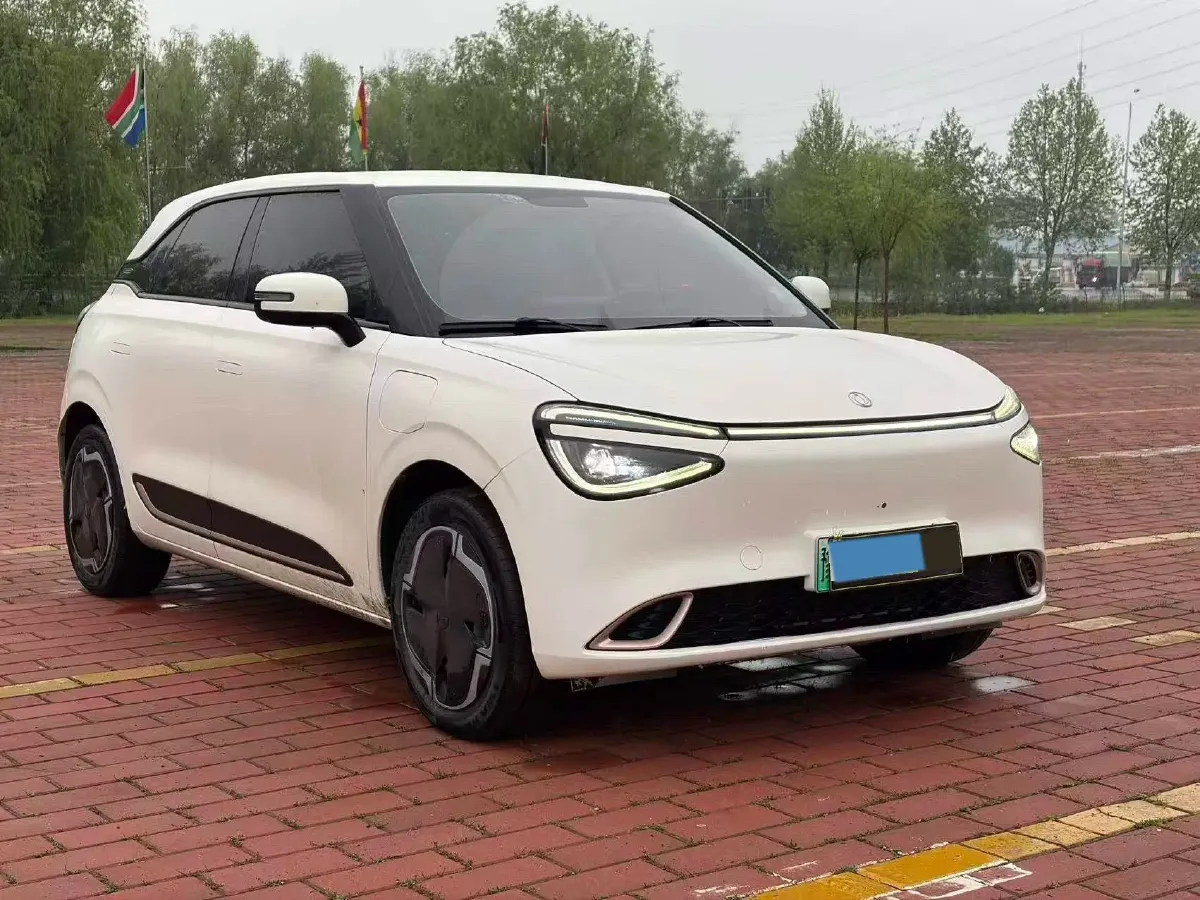 2024 DongFeng eπ 01 BEV 31.45KWH,autocango,china used car exporter,china ev exporter,chinese used car exporter,chinese used ev exporter
