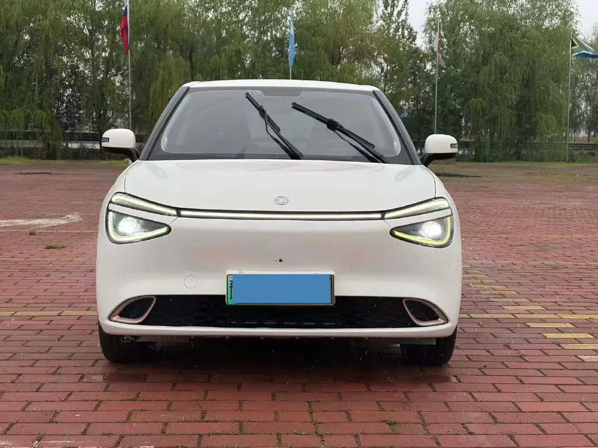 2024 DongFeng eπ 01 BEV 31.45KWH,autocango,china used car exporter,china ev exporter,chinese used car exporter,chinese used ev exporter