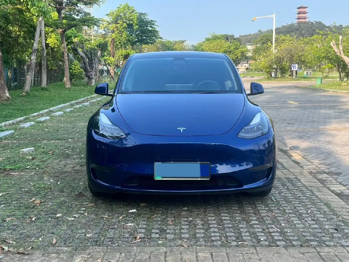 2021 Tesla Model 3 BEV 76.8KWH,autocango,china used car exporter,china ev exporter,chinese used car exporter,chinese used ev exporter