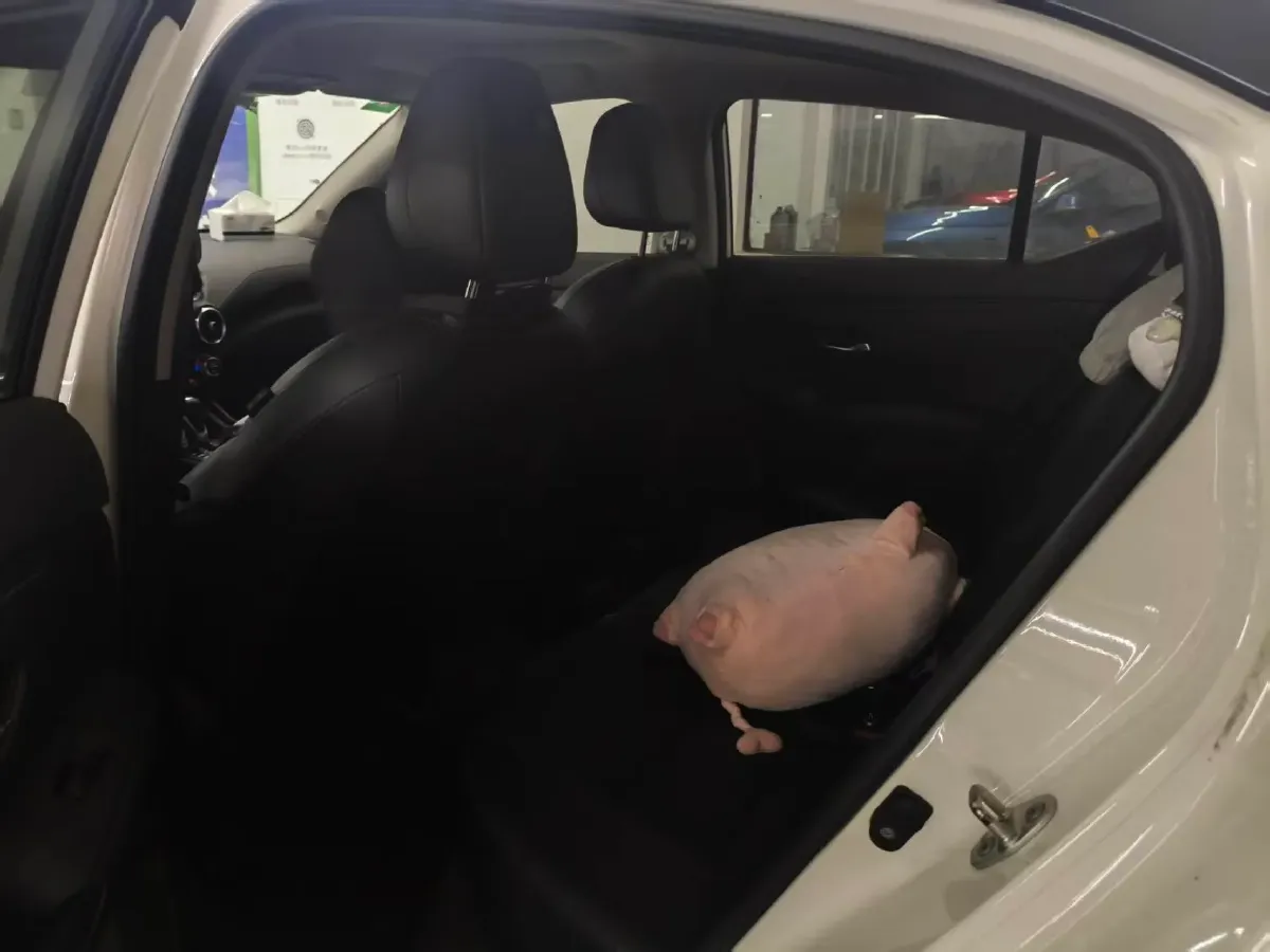 2022 Nissan Sylphy 1.6L 135HP L4 CVT,autocango,china used car exporter,china ev exporter,chinese used car exporter,chinese used ev exporter