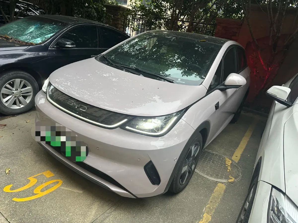 2025 BYD Dolphin BEV 45.12KWH,autocango,china used car exporter,china ev exporter,chinese used car exporter,chinese used ev exporter