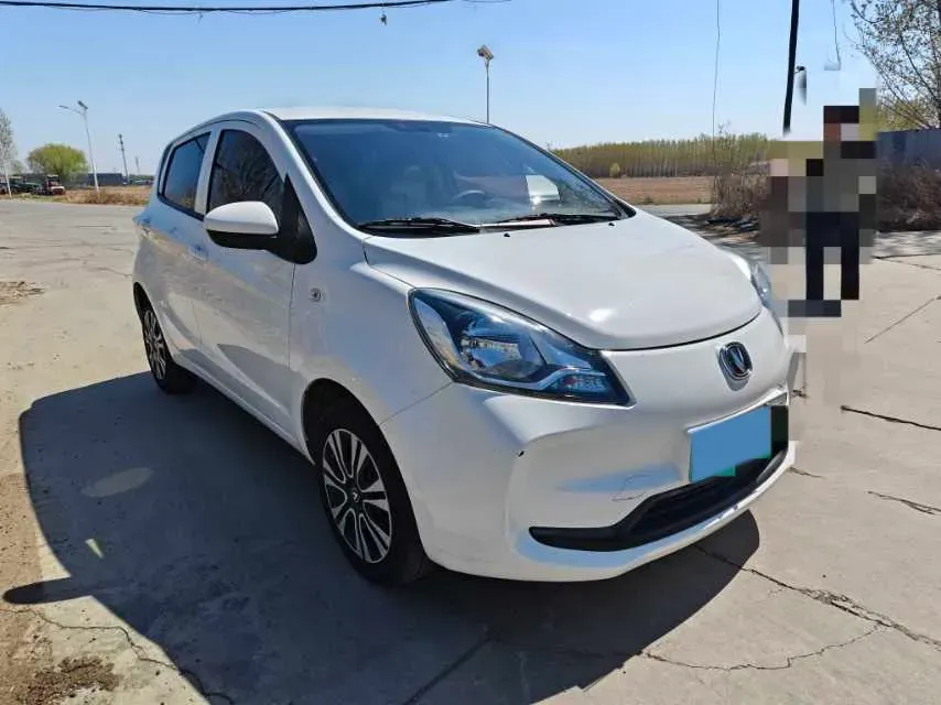 2021 ChangAn BenBen E-Star BEV 31.18KWH,autocango,china used car exporter,china ev exporter,chinese used car exporter,chinese used ev exporter