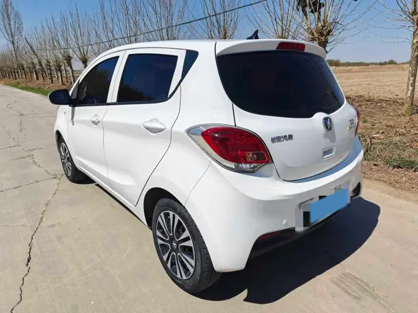 2021 ChangAn BenBen E-Star BEV 31.18KWH,autocango,china used car exporter,china ev exporter,chinese used car exporter,chinese used ev exporter