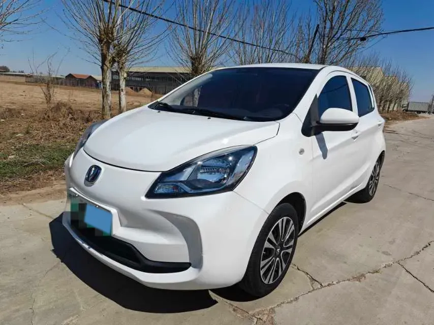 2021 ChangAn BenBen E-Star BEV 31.18KWH,autocango,china used car exporter,china ev exporter,chinese used car exporter,chinese used ev exporter