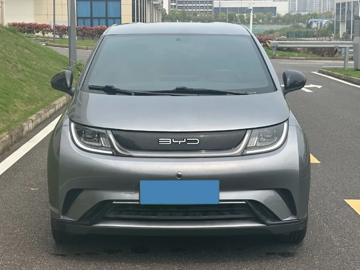 2024 BYD Dolphin BEV 44.928KWH,autocango,china used car exporter,china ev exporter,chinese used car exporter,chinese used ev exporter