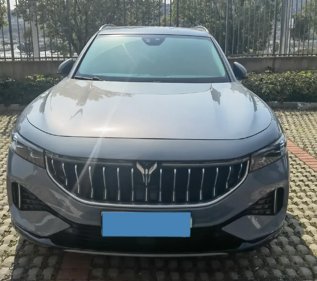 2021 Voyah FREE Range Extended 109HP REEV 33KWH,autocango,china used car exporter,china ev exporter,chinese used car exporter,chinese used ev exporter