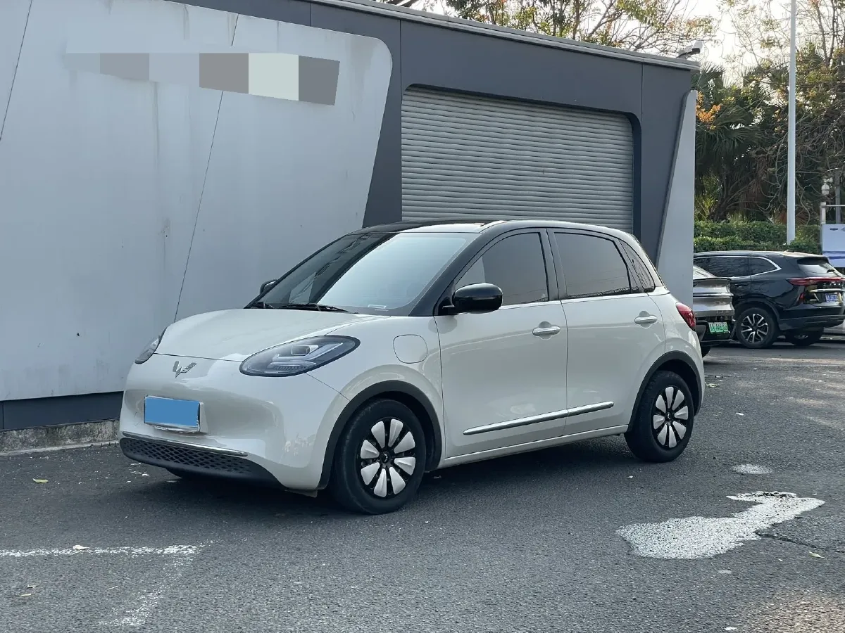 2023 WuLing BinGuo BEV 31.9KWH,autocango,china used car exporter,china ev exporter,chinese used car exporter,chinese used ev exporter