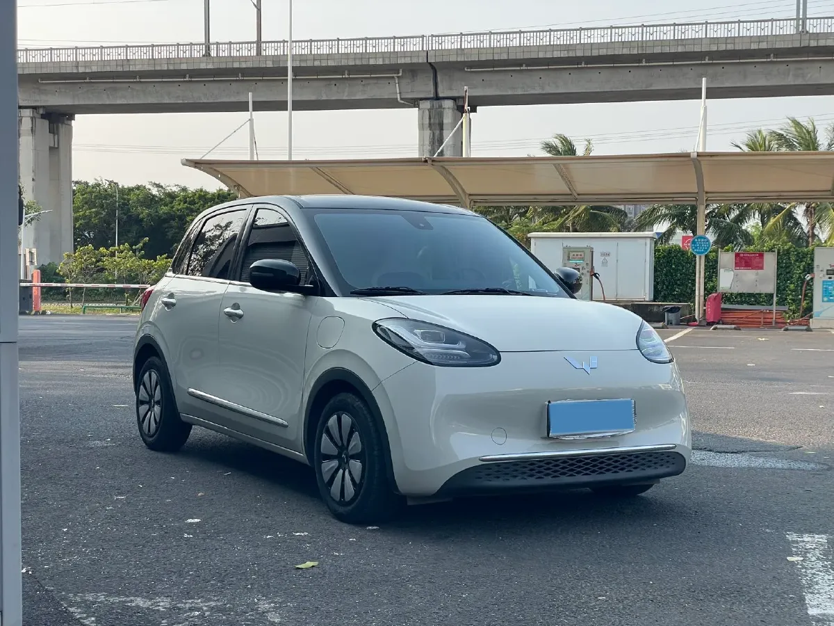 2023 WuLing BinGuo BEV 31.9KWH,autocango,china used car exporter,china ev exporter,chinese used car exporter,chinese used ev exporter