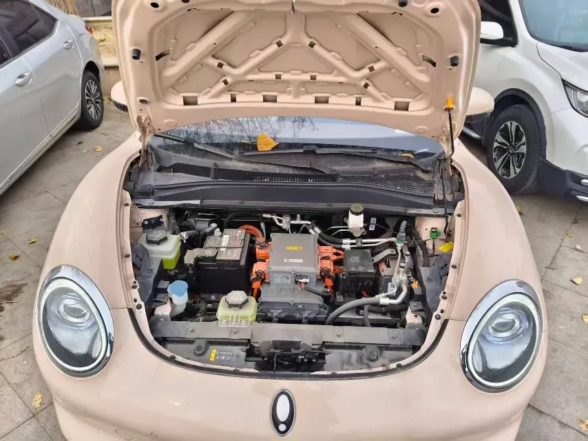 2021 Ora FunkyCat BEV 45.99KWH,autocango,china used car exporter,china ev exporter,chinese used car exporter,chinese used ev exporter