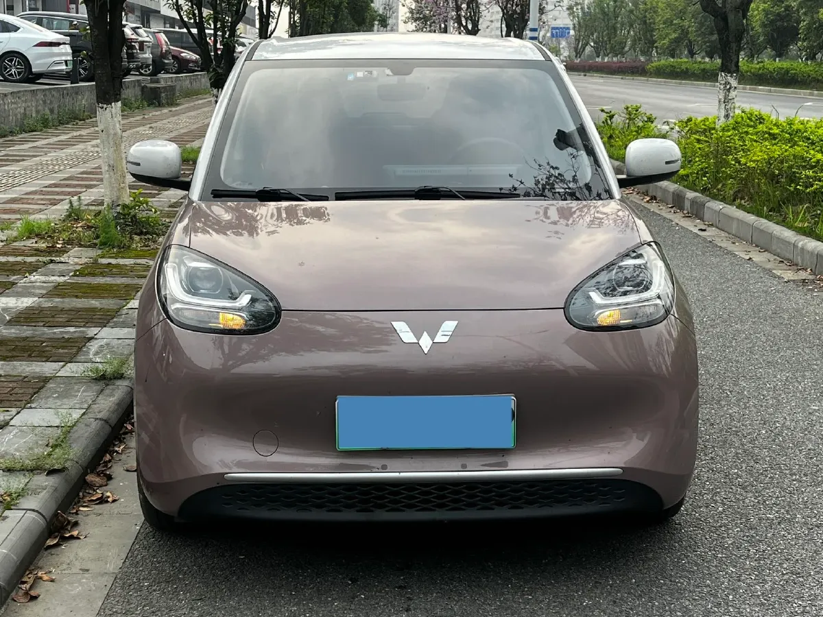 2023 WuLing BinGuo BEV 31.9KWH,autocango,china used car exporter,china ev exporter,chinese used car exporter,chinese used ev exporter