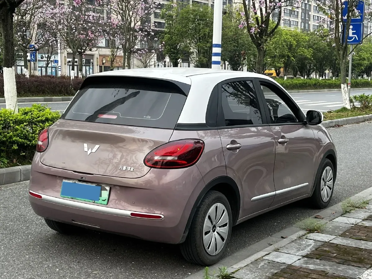 2023 WuLing BinGuo BEV 31.9KWH,autocango,china used car exporter,china ev exporter,chinese used car exporter,chinese used ev exporter