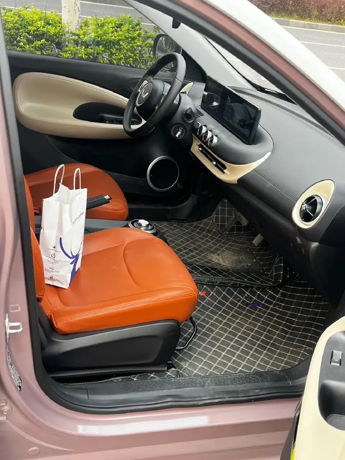 2023 WuLing BinGuo BEV 31.9KWH,autocango,china used car exporter,china ev exporter,chinese used car exporter,chinese used ev exporter