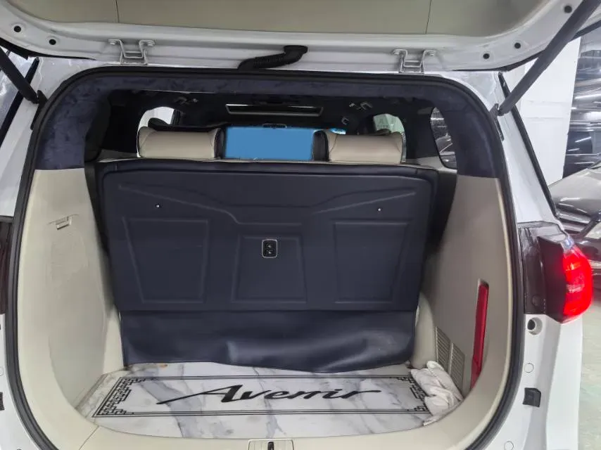 2021 Buick GL8 2.0T 237HP L4 9AT,autocango,china used car exporter,china ev exporter,chinese used car exporter,chinese used ev exporter