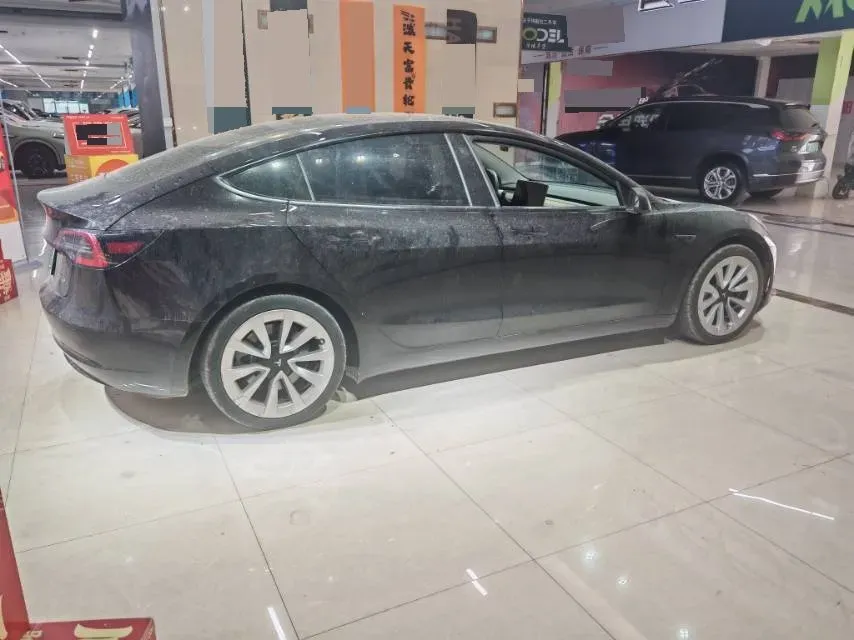 2021 Tesla Model 3 BEV 55KWH,autocango,china used car exporter,china ev exporter,chinese used car exporter,chinese used ev exporter
