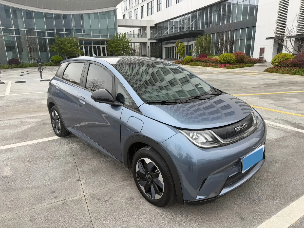 2024 BYD Dolphin BEV 44.928KWH,autocango,china used car exporter,china ev exporter,chinese used car exporter,chinese used ev exporter
