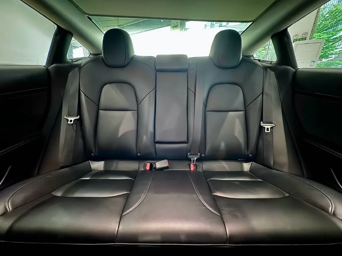 2020 Tesla Model 3 BEV 52KWH,autocango,china used car exporter,china ev exporter,chinese used car exporter,chinese used ev exporter