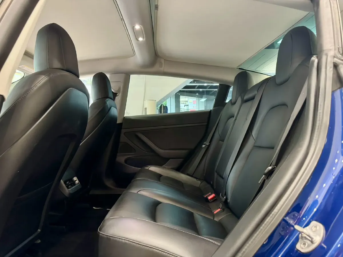 2020 Tesla Model 3 BEV 52KWH,autocango,china used car exporter,china ev exporter,chinese used car exporter,chinese used ev exporter