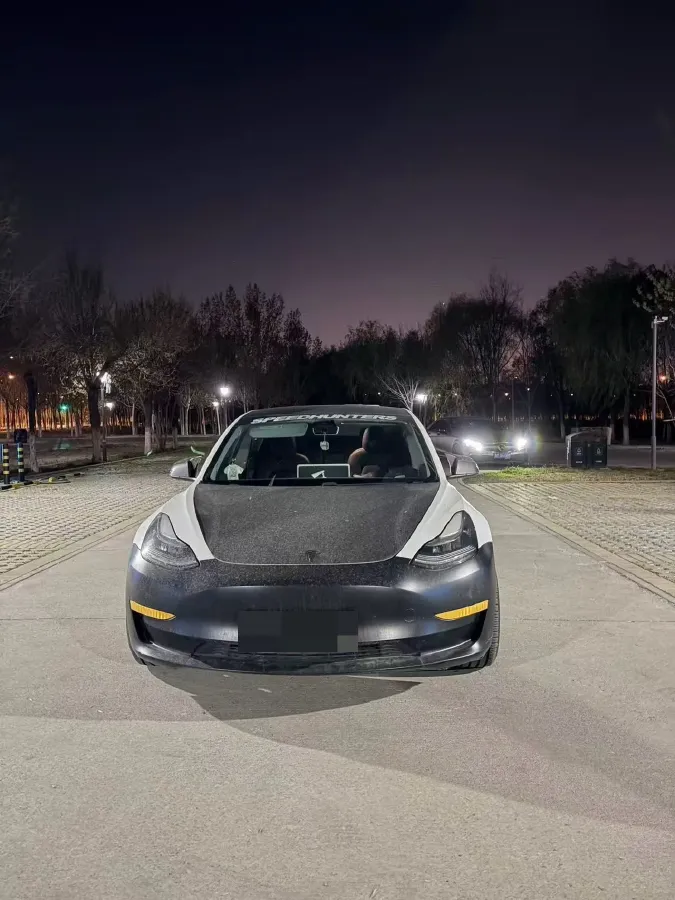 2020 Tesla Model 3 BEV 76.8KWH,autocango,china used car exporter,china ev exporter,chinese used car exporter,chinese used ev exporter