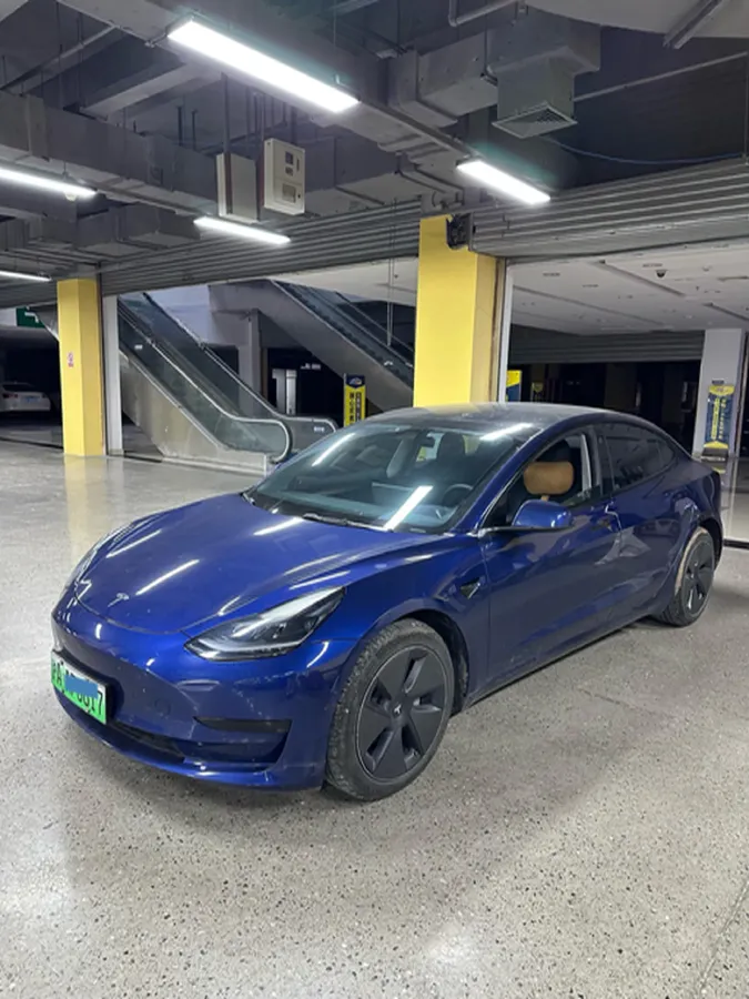 2021 Tesla Model 3 BEV 55KWH,autocango,china used car exporter,china ev exporter,chinese used car exporter,chinese used ev exporter